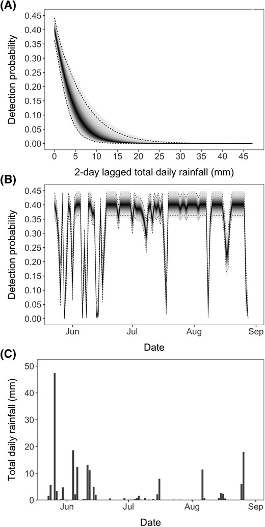 (A) Detection probability declined sharply with total rainfall, being virtually zero at about total daily rainfall of 20 mm. The medians (95% highest posterior density intervals) of the posterior distribution of the parameters in the linear predictor used to generate the curve (Equation 7) were αp=−1.03(−1.33,−0.72) and βp,rf2=−1.90(−2.69,−1.04). Panels (B) and (C) show that high rainfall events were frequent during the first month of monitoring, resulting in several events with low detection probabilities. In panels (A) and (B), the solid line represents the median of the posterior distribution of detection probability for a given observed rainfall, whereas the dashed lines represent the 95% highest posterior density intervals. Shading denotes the density of the full posterior distribution of detection probability, with higher probability densities denoted by darker shades.