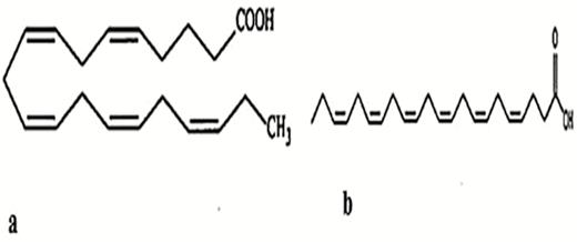 Structures of (a) eicosapentaenoic acid (EPA) and (b) docosahexaenoic acid.