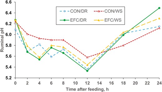 Effects of Enogen Feed Corn grain on ruminal pH measured over 24 h (Exp. 2). CON/DR = Yellow #2 corn grain/dry-rolled. CON/WS = Yellow #2 corn grain/whole-shelled. EFC/DR = Enogen Feed Corn grain/dry-rolled. EFC/WS = Enogen Feed Corn grain/whole-shelled. Corn (P = 0.82), processing (P < 0.15), corn × processing (P < 0.37), hour (P < 0.0001), hour × corn (P < 0.01), hour × processing (P = 0.40), hour × corn × processing (P = 0.64).