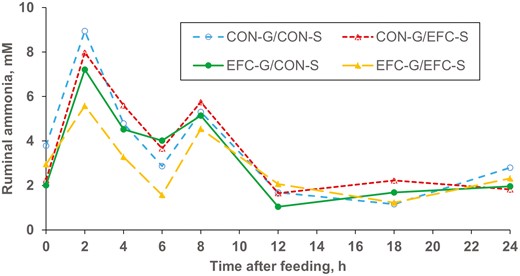 Effects of Enogen Feed Corn silage and grain on ruminal ammonia measured over 24 h (Exp. 4). CON-G = Yellow #2 corn grain; CON-S = Mycogen corn silage. EFC-G = Enogen Feed Corn grain; EFC-S = Enogen Feed Corn silage. Corn grain (P < 0.06), corn silage (P = 0.44), corn grain × corn silage (P = 0.51), hour (P < 0.0001), hour × corn grain (P = 0.91), hour × corn silage (P = 0.87), hour × corn grain × corn silage (P < 0.01).