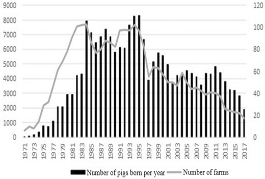 Number of pigs born and farm per year.