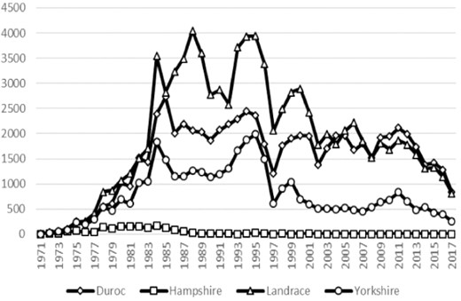 Number of pigs born within different swine breeds per year.
