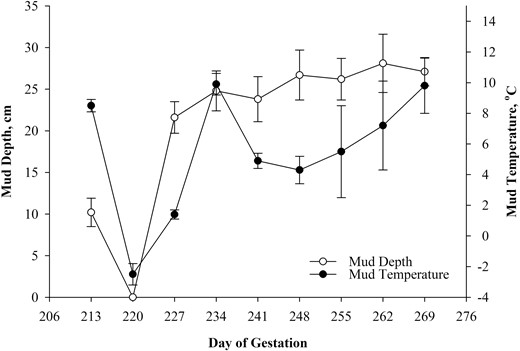 Mean mud depth (cm) and mud temperature (°C) ± SD of the eight MUD treatment pens recorded at weekly intervals from the beginning of the treatment period on day 213 of gestation until the end of the treatment period on day 269 of gestation.