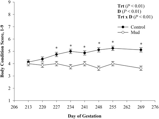 Mean prepartum cow body condition score ± SEM measured weekly from day 213 of gestation (start of treatment period) to day 269 of gestation (end of treatment period) of pair-fed cows housed in 23.6 ± 5.8 cm of mud (Mud) or wood chips (Control) presented with Treatment (Trt), Day of Gestation (D), and Treatment × Day of Gestation (Trt × D) effects. *P ≤ 0.05.