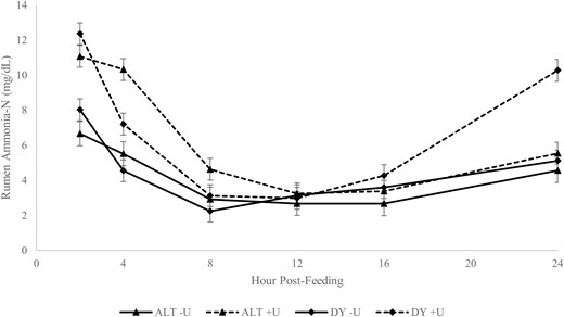 The ammonia-N concentration of ruminal fluid of steers fed distillers grains supplement either every day (DY) or every other day (ALT), and inclusion of urea at 0% (−U) or 1.3% (+U) of the supplement’s dry matter. Frequency × urea × time effect (P < 0.01).