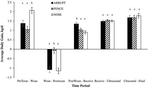 Least squares means for the interaction of weaning treatment1 by time period on average daily gain2. 1ABRUPT (calves isolated from dams on the day of weaning), FENCE (calves separated from dams via a barbed wire fence for 7 d prior to complete weaning), and NOSE (nose-flap inserted and calves remained with dams for 7 d prior to complete weaning). 2Average daily gains were calculated for each time period among BWs) recorded on study day −7 (PreTreat), 0 (Weaning), 7 (PostWean), 26 (Receiving), 175 (Ultrasound), and 238 or 268 (Final).ab Bars within each time period lacking a common superscript differ (P ≤ 0.05).