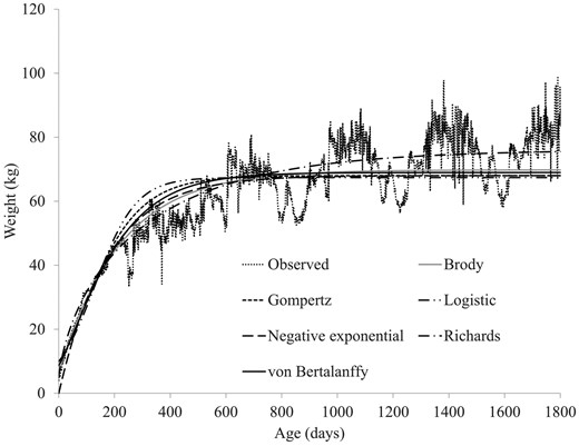 Growth curves of female lowland sheep as observed and as modeled by nonlinear functions.