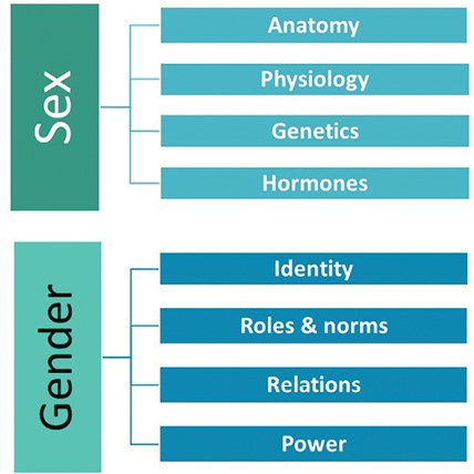 The domains of sex and gender.