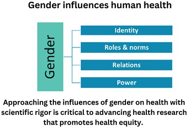 Graphical Abstract