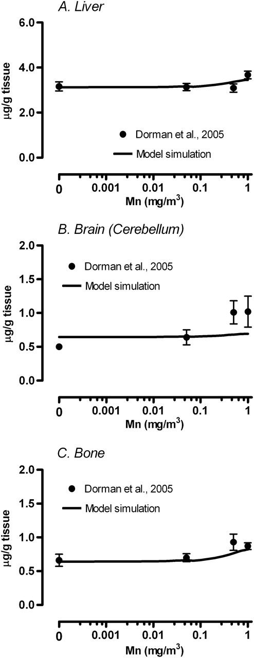Simulation of maternal tissue Mn concentrations on GD20. Solid line represents model simulated (A) liver, (B) cerebellum brain, and (C) bone Mn concentrations in the dam. Respective tissue concentration reported in Dorman et al. (2005) were mean ± SEM. For comparison of the brain concentration, simulation was for cerebellum, while the data represent whole brain.