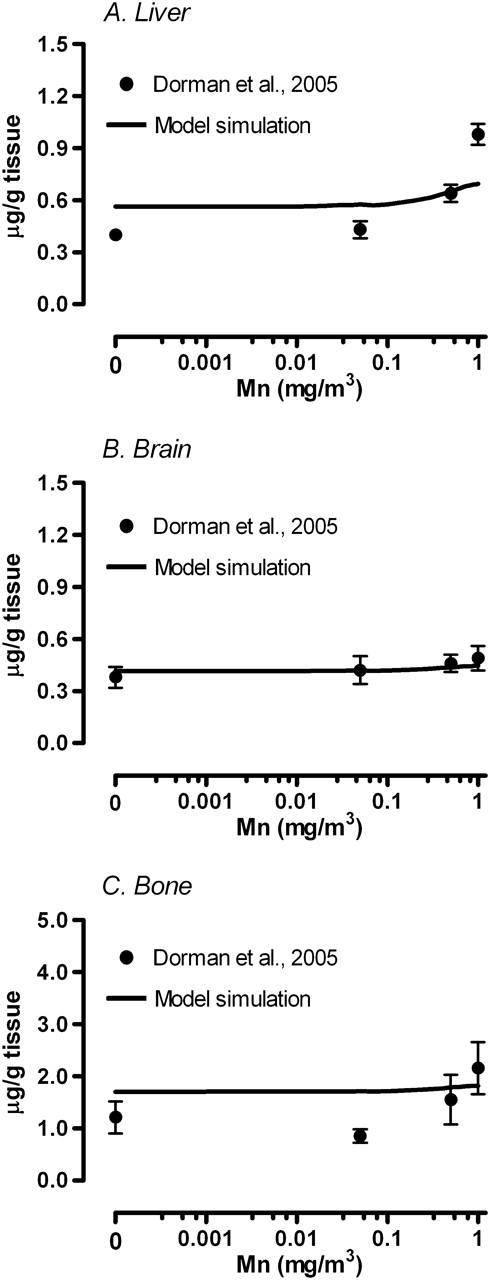 Simulation of fetal tissue Mn concentrations on GD20. Solid line represents simulated (A) liver, (B) brain, and (C) bone Mn concentrations in the fetus. Respective tissue concentration reported in Dorman et al. (2005) were represented by mean ± SEM.