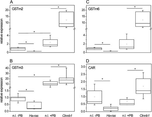 Expression of GSTm isoforms in mouse liver tumors with Ctnnb1 and Ha-ras mutations. RNA was isolated from normal liver samples (±PB treatment) and from mouse liver tumors harboring activating mutations in the indicated proto-oncogenes. Levels of different GSTm isoenzyme mRNAs were determined by real-time RT-PCR and normalized to 18s rRNA expression. Compared to the respective nontumorous tissue samples, Ctnnb1-mutated hepatomas expressed significantly elevated amounts of all three GSTm isoforms analyzed, GSTm2 (A), GSTm3 (B), and GSTm6 (C). Contrastingly, these mRNAs were downregulated in hepatomas carrying Ha-ras mutations. Comparable downregulation and upregulation were observed for CAR mRNA (D). Ctnnb1, Ctnnb1-mutated tumor; Ha-ras, Ha-ras-mutated tumor; n.l., normal liver. Number of samples analyzed: n = 11 (n.l. − PB); n = 12 (n.l. + PB); n = 6 (Ha-ras); n = 13 (Ctnnb1). Significant differences (p < 0.05, Student’s t-test) are indicated by asterisk.