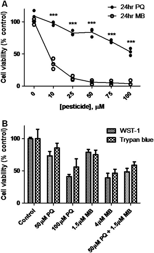 MB is significantly more toxic, compared with PQ, in SH-SY5Y cells. SH-SY5Y cells were treated for 24 h with increasing concentrations of PQ or MB, and cell viability was measured using a WST-1 assay (A). The mixture of PQ and MB has an additive effect on cytotoxicity, e.g., the addition of the viability loss caused by PQ and MB alone. (WST-1 and trypan blue) (B). All assays were performed in triplicate, and the data are represented as the mean ± SEM. Cell viability values for MB and PQ were compared with each other to determine statistical significance (***p < 0.001).