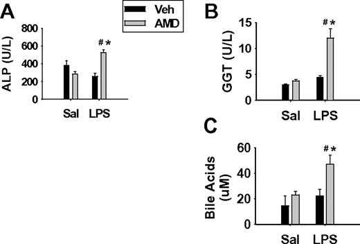 Markers of cholestasis after AMD/LPS cotreatment. Rats were treated with AMD (400 mg/kg, ip) or vehicle and 16 h later with LPS (1.6 × 106 EU/kg, iv) or saline. Blood samples were collected at 10 h after LPS administration. Serum markers for cholestatic liver injury were measured: (A) ALP; (B) GGT; (C) concentration of total bile acids. # indicates significantly different from respective groups not given LPS; * indicates significantly different from respective group not given AMD. p < 0.05, n = 4–9.