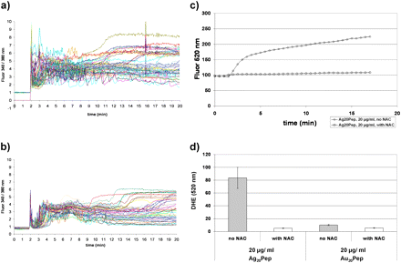Effects of antioxidant pretreatment on nanoparticle-induced ROS generation and calcium responses. The primary neural cultures were used without and with pretreatment with NAC (final concentration 10mM, 1 h). The calcium increase was monitored with the Fura-2AM indicator dye. The nanoparticles were added to cells after 2 min. (a) Calcium response after addition of 20 μg/ml Ag20Pep particles without NAC pretreatment. (b) Calcium response after addition of 20 μg/ml Ag20Pep particles with NAC pretreatment. (c) Measurement of ROS was performed with DHE dye in a single live cell upon treatment with 20 μg/ml Ag20Pep particles without or with NAC pretreatment. (d) Quantification of ROS formation (from graph in Fig. 5c together with data for nanogold). Mean values of at least 30 individual cells in one representative experiment, including SEM, are shown. Each experiment has been repeated three times.