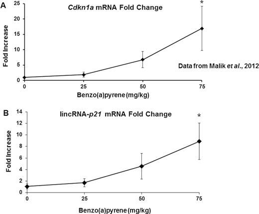 qRT-PCR of Cdkn1a (A) (data reproduced from data in Malik et al., 2012) and lincRNA-p21 (B). Error bars indicate SE and *p < 0.05.