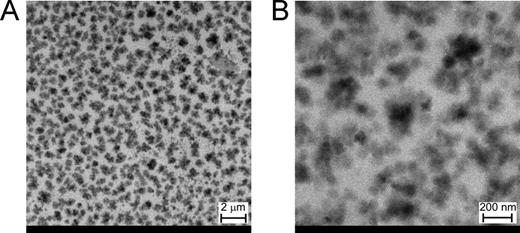 C60 particle size and morphology. TEM of C60 samples taken from those used in this study shows (A) at lower magnification C60 aggregates appear to range from ∼100 nm to 800 nm in diameter. (B) Higher magnification TEM shows C60 agglomerates ranging from ∼50 nm to 200 nm in diameter.