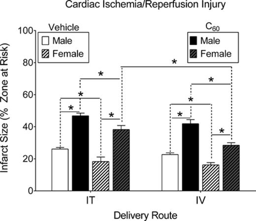 Cardiac I/R injury. Male and female rats were subjected to regional cardiac I/R (20/120 min) injury in situ, 24 h following intratracheal (IT) or intravenous (IV) delivery of C60 or vehicle. In either case C60 exposure exacerbated myocardial infarction. Within each delivery route, infarct sizes in the male groups were larger than those in females. Between delivery routes, the females had larger infarctions in response to IT C60 exposure compared with IV exposure. *p < 0.05 by two-way ANOVA, N = 4–5.