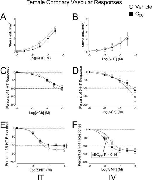 Experimental coronary artery pharmacology in female rats. Segments of the coronary artery (LAD) were isolated from female rats 24 h following intratracheal (IT) or intravenous (IV) delivery of C60 or vehicle. (A) Cumulative concentration-response curves for serotonin (5-HT) mediated vascular smooth muscle contraction in LAD from IT C60 exposed rats. (B) Cumulative concentration-response curves for 5-HT in coronary artery smooth muscle of LAD segments isolated from IV exposed rats. (C) Cumulative concentration-response curves for ACh showed no changes following IT exposure. (D) The IV C60 ACh curve a slight rightward shifted compared with the vehicle curve. (E) Cumulative concentration-response curves for SNP showed less smooth muscle relaxation in LAD isolated from IT C60 compared with IT vehicle groups. (F) Cumulative SNP concentration-response curves from LAD isolated from IV exposed rats showed slight leftward shifts in EC50 from LAD coronary artery smooth muscle relaxation responses from C60 exposed females compared with the IV vehicle curves. †p < 0.05 by regression analysis of best-fit curve values. Reported p-values for ΔEC50 were determined by t-test, N = 4–5.