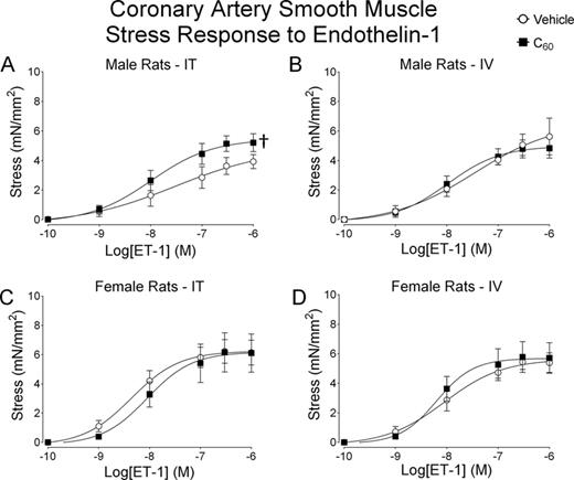 Male and female coronary artery responses to ET-1. Segments of the coronary artery were isolated from male and female rats 24 h following IT or IV delivery of C60 or vehicle. (A) Cumulative concentration-response curves for ET-1 showed enhanced stress generation during isometric vascular smooth muscle contraction in LAD from IT C60 instilled male rats compared with vehicle. (B) Cumulative concentration-response curves for ET-1 stress generation during isometric vascular smooth muscle contraction in LAD from IV C60 or vehicle instilled male rats. (C) Cumulative concentration-response curves for ET-1 stress generation during isometric vascular smooth muscle contraction in LAD from IT C60 instilled female rats. (D) Cumulative concentration-response curves for ET-1 stress generation during isometric vascular smooth muscle contraction in LAD from IV C60 instilled female rats. †p < 0.05 by regression analysis of best-fit curve values. N = 5–6.