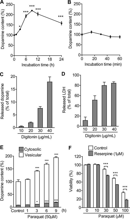 Effect of paraquat on intracellular dopamine. (A and B) Temporal changes in intracellular dopamine content in response to paraquat. PC12 cells were treated with 50μM paraquat for 1–24 h (A) or 15–60 min (B). (C) Release of dopamine into the extracellular milieu in response to digitonin. (D) Release of LDH into the extracellular milieu in response to digitonin. PC12 cells were incubated with 10–40 μg/ml digitonin for 15 min. After centrifugation, the supernatant was collected for measurement. (E) Time-dependent changes in cytosolic and vesicular dopamine content in response to paraquat. PC12 cells were treated with 50μM paraquat for 1–9 h. *p < 0.05, ***p < 0.001 compared with control. (F) Effect of reserpine on paraquat-induced cytotoxicity in PC12 cells. PC12 cells were exposed to paraquat (10–100μM) in the presence or absence of reserpine (1μM) for 48 h. Cell viability was determined by the LDH release assay. Statistical analyses were performed using two-way ANOVA and post hoc multiple comparison using Bonferroni's test. ***p < 0.001.