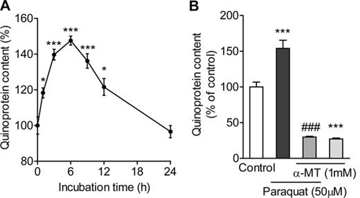 (A) Effect of paraquat on quinoprotein formation. PC12 cells were treated with 50μM paraquat for 1–24 h. (B) Effect of α-MT on paraquat-induced quinoprotein formation. PC12 cells were pretreated with 1mM α-MT for 24 h and exposed to 50μM paraquat with α-MT for 6 h. *p < 0.05, ***p < 0.001 compared with control. ###p < 0.001 compared with paraquat alone.