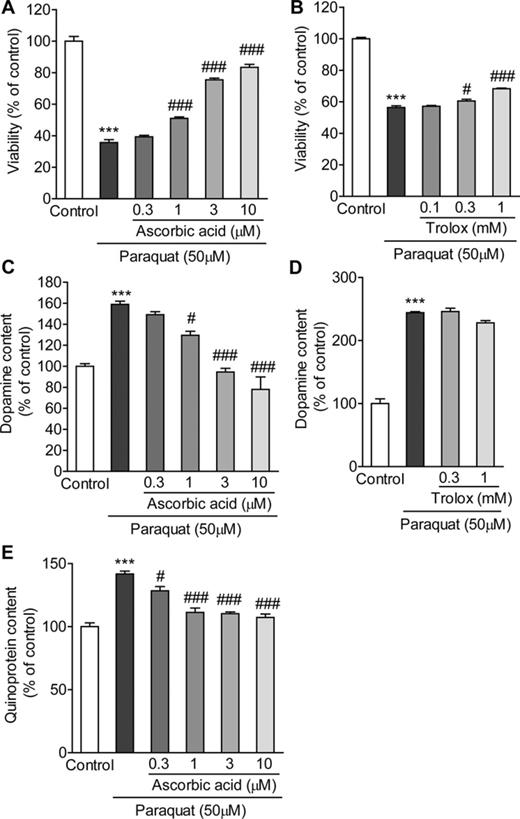 The effects of ascorbic acid and trolox on paraquat-induced alteration of dopamine systems. (A and B) The effects of ascorbic acid and trolox on paraquat-induced toxicity. PC12 cells were pretreated with 0.3–10μM ascorbic acid (A) or 0.1–1mM trolox (B) for 24 h, and exposed to 50μM paraquat with ascorbic acid or trolox for 48 h. Cell viability was determined by the LDH release assay. (C and D) The effects of ascorbic acid and trolox on the elevation of dopamine content induced by paraquat. PC12 cells were pretreated with 0.3–10μM ascorbic acid (C) or 0.3–1mM trolox (D) for 24 h, and exposed to 50μM paraquat with ascorbic acid or trolox for 9 h. (E) Effect of ascorbic acid on paraquat-induced quinoprotein formation. PC12 cells were pretreated with 0.3–10μM ascorbic acid for 24 h, and exposed to 50μM paraquat with ascorbic acid for 6 h. ***p < 0.001 compared with control. #p < 0.05, ###p < 0.001 compared with paraquat alone.