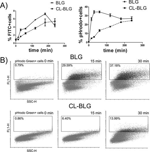 Uptake of FITC or pHrodo Green labeled BLG and CL-BLG by DCs. (A) Number of positive cells over time. (B) One representative pHrodo positive cell gating profile out of three experiments for 0, 15, and 30 min time points.