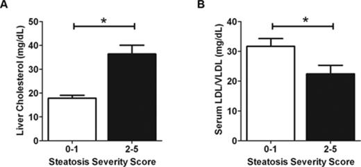 Liver cholesterol and serum LDL/VLDL concentrations in select strains binned by microvesicular steatosis severity scores. (A) Liver cholesterol and (B) serum LDL/VLDL evaluated from two drug-resistant strains (steatosis severity score in INH-treated animals of 0–1; NON/ShiLtJ, C57BR/cdJ) and three drug-sensitive strains (microvesicular steatosis severity score in INH-treated animals of 2–5; NOR/LtJ, DBA/J, and LG/J). All animals were binned according to low (0–1) or high (2–5) severity scores as done for analysis of metabolomics data. Data are represented as mean ± SE. *p < 0.05 indicates the difference between groups as assessed by a Student's t-test.