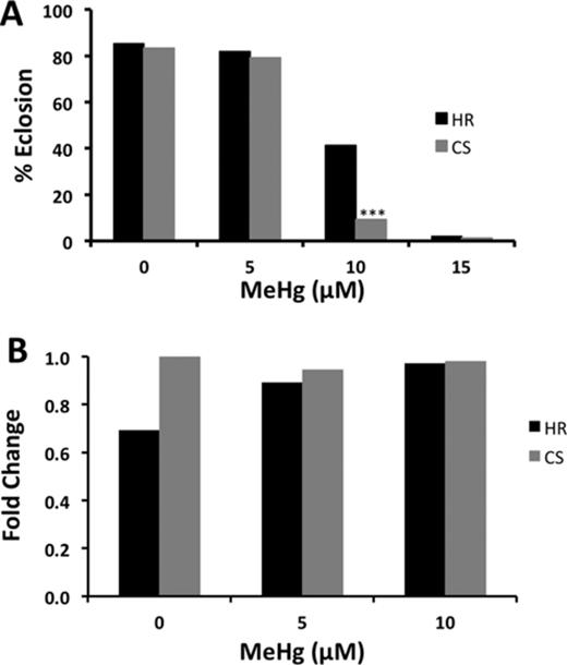Tolerance and dMRP expression in two wild-type fly strains exposed to MeHg. (A) Tolerance to MeHg in Hikone R (HR) and Canton S (CS) was determined using the eclosion assay. Asterisks indicate significant difference between the two strains as determined by z-test (***p<0.0001). (B) Relative dMRP expression in CS and HR exposed to 0, 5, or 10μM MeHg food for 48 h. Expression levels in a pooled sample of 20 larvae were determined by qRT-PCR, normalized to RP49 and expressed relative to Canton S at the 0μM MeHg exposure.