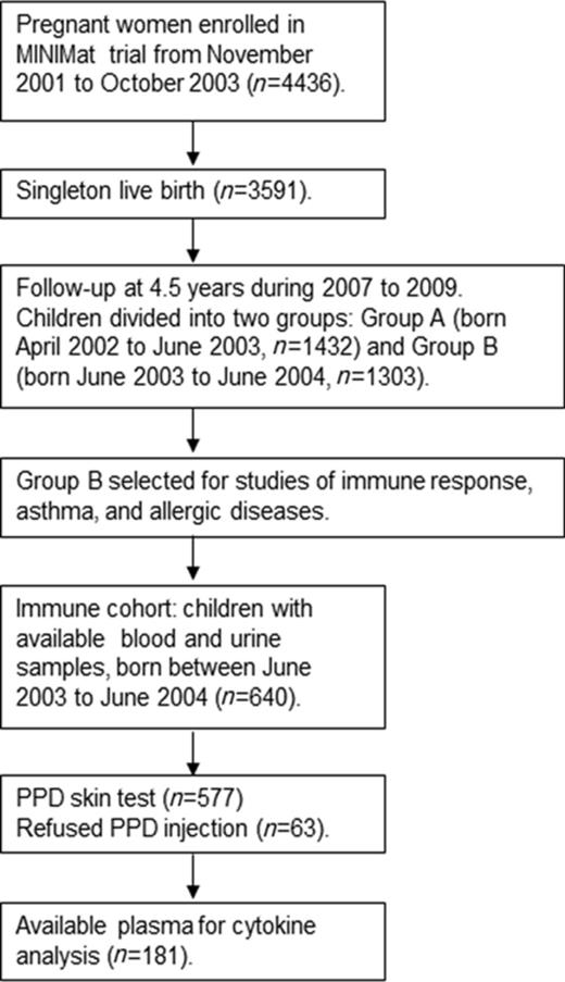 Flow diagram describing the recruitment of children in the current study nested in the MINIMat follow-up study in rural Bangladesh carried out in 2007–2009.