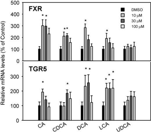 Effects of BAs on the mRNA levels of BA sensors FXR and TGR5. Human primary hepatocyte cultures were treated with individual BAs at concentrations of 10, 30, and 100μM for 48 h, and the expression of FXR and TGR5 was determined by real-time RT-PCR analysis. Data are mean + SEM (n = 6). *Significantly different from DMSO-treated controls, p < 0.05.