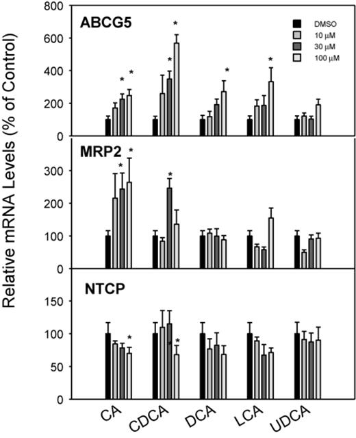Effects of BAs on mRNA levels of ABCG5, MRP2, and NTCP. Human primary hepatocyte cultures were treated with individual BAs at concentrations of 10, 30, and 100μM for 48 h, and the expression of ABCG5, MRP2, and NTCP was determined by real-time RT-PCR analysis. Data are mean + SEM (n = 3–4). *Significantly different from DMSO-treated controls, p < 0.05.