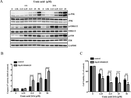 Usnic acid activates JNK and JNK activation is involved in apoptosis. (A) Total cellular proteins were extracted at 6 and 24 h after exposure to usnic acid. The expression levels of activated JNK (phospho-JNK), p38 (phospho-p38), and ERK1/2 (phospho-ERK1/2) were detected by Western blot analyses. The same blot was stripped and used to determine the amount of each kinase. GAPDH was loaded as internal control. Data are typical of three experiments. (B and C) HepG2 cells were pretreated with 10μM SP600125 (JNK inhibitor) for 2 h prior to 24 h treatment with indicated concentrations of usnic acid. Apoptosis was assessed by caspase-3/7 activity (B). Cell viability was determined by MTT assay (C). The bar graphs show the mean ± SD of three experiments. **p < 0.005, and ***p < 0.001 versus treatment with usnic acid alone.