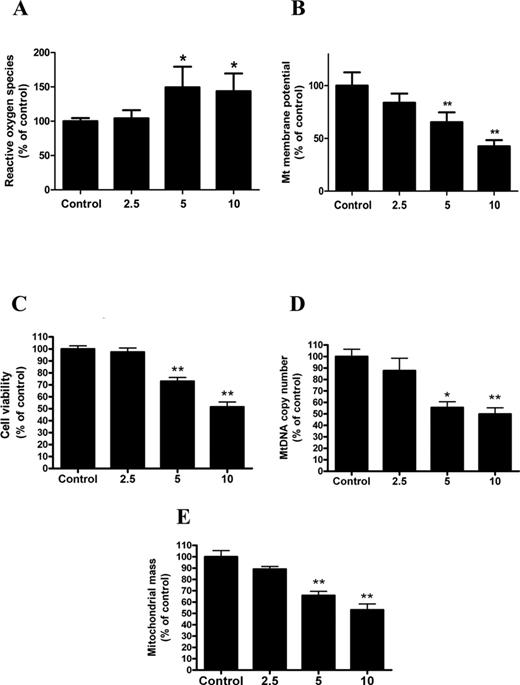 Cd exposure triggers mitochondrial dysfunction and the impairment of mitochondrial biogenesis in a concentration-dependent manner in HepG2 cells. (A) ROS production, (B) ΔΨm level, (C) cell viability, (D) mtDNA copy number, and (E) mitochondrial mass were assayed after HepG2 cells were treated with Cd at different concentrations (0, 2.5, 5, 10μM) for 12 h. The values are presented as the mean ± SEM, *p < 0.05, **p < 0.01 versus the control group (n = 6).