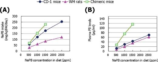(A) NaPB intake and (B) plasma PB concentrations in CD-1 mice, WH rats, and chimeric mice. Results are presented as the mean of five to eight animals except for data at 1500 ppm in chimeric mice which are from two surviving animals. Actual mean values of NaPB intake and actual mean ± SD values of plasma PB concentrations are shown in Supplementary Data.