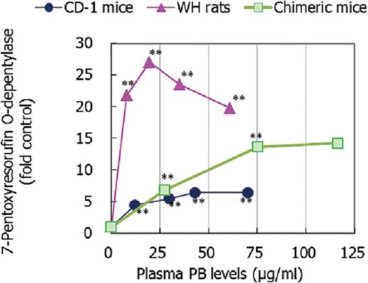Effect of NaPB treatment on hepatic 7-pentoxyresorufin O-depentylase (CYP2B marker) activity in CD-1 mice, WH rats, and chimeric mice. Mean values from five to nine animals except for data at 1500 ppm in chimeric mice which are from two surviving animals are presented as fold control at each dose level. Values significantly different from control (0 ppm) are: **p < 0.01. Actual mean ± SD values are shown in Supplementary Data.