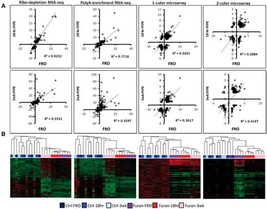 Differential gene expression. Expression profiles following exposure to furan (8 mg/kg/day) in FRO, 18 h in formalin (FFPE-18 h), or 3 weeks in formalin (FFPE-3 weeks) liver samples evaluated using different DNA microarray and RNA-seq protocols. (A) Correlation analysis of DEG fold changes for FRO versus FFPE-18 h (top row) and FRO versus FFPE-3 weeks (bottom row) (P < 0.0001 for all linear regressions). Genes were significantly changed in at least one list (FDR P < 0.05, fold change > ± 1.5 compared with control). (B) Hierarchical clustering of all DEGs (FDR P < 0.05, fold change > ± 2).