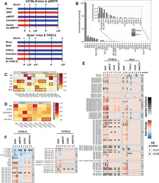 Effect of cigarette smoke exposure, MRTP aerosol exposure, cessation, and switching to a potential MRTP on the lung lipidomes of C57BL/6 and Apoe−/− mice. A, Experimental design for the 2 mouse inhalation studies, investigating exposure effects in C57BL/6 and Apoe−/− mice. Mice were exposed to cigarette smoke, a potential MRTP (THS2.2 or pMRTP) or fresh air (sham). Some mice were exposed to CS for 2 months and then either underwent cessation or were switched to the MRTP. Lung tissue samples for lipidomics and proteomics were collected at the indicated time points (L = lipidomics, P = proteomics). B, Lipid class concentrations for both studies. The sums of the median lipid species concentrations of a class across the whole study are shown. If a lipid class was quantified in both studies, only lipid species detected in both studies were considered in calculating the lipid class sum. Values were sorted based on the maximum values in both studies. The insert shows the lower abundance lipid classes. See Materials and Methods for the list of abbreviations. C, Detailed composition profiles for glycerophospholipids and DAG. Only lipid compositions contributing at least 20% to the total concentration of either lipid class were included. D, Composition profiles for d18:1 Cer, Glc/GalCer, LacCer, and Gb3. E, Differential abundance profiles for lipid species with significant differential abundance in both studies. Each row shows 1 lipid species, each column an exposure condition compared to the sham group at the respective time point. The fold-change compared with sham exposure is color-coded (see color key). Significantly abundant differences are indicated (*BH-adjusted P-value < .05, XBH-adjusted P-value < .01). In addition, the molar contribution of significantly abundant lipid species to their lipid class is indicated by the shade of the significance indicator (“species fractions”). (See Supplementary Data for the full set of quantified lipids). F, Differential abundance profiles for lipid species that were quantified only in the C57BL/6 study.