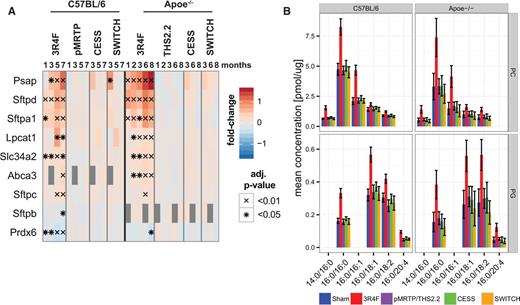 Exposure effects on surfactant metabolism. A, Protein expression profiles of surfactant-related proteins in the lung from the C57BL/6 and Apoe−/− studies. The fold-change is color-coded and statistical significance is marked (BH-adjusted P-value, *< 0.05, x< 0.01). Missing values are gray. B, Comparison of lipid concentration profiles for the surfactant-associated PC and PG lipid classes. The mean and 95% confidence intervals of the measured lipid concentration are shown for the last time point of each study (7 months for the C57BL/6 and 8 months for the Apoe−/− study). Only those lipid species with fatty acid chain compositions contributing at least 5% to the total lipid class concentration of either PC or PG are included. Missing bars indicate missing values, eg, for the C57BL/6 study no values were obtained for PG 16:0/20:4.