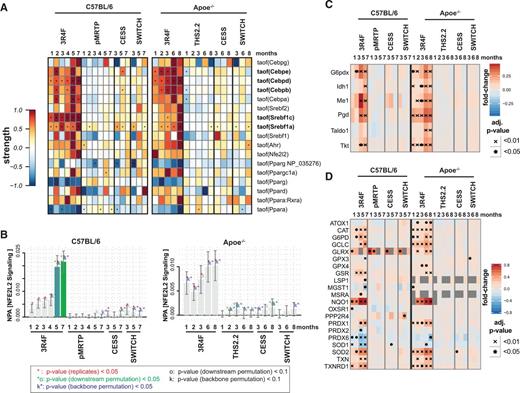 Transcriptional regulation of lipid metabolism alterations and metabolic adaptation toward production of NADPH. A, Transcription regulator activity analysis indicates upregulation of SREBP and C/EBP transcriptional activities with CS exposure. Each row of the heatmap represents the predicted activity of a transcriptional regulator, each column represents an exposure group compared to sham exposure at the same time point. The perturbation strength is color-coded and statistical significance is indicated (*BH-adjusted P-value < .05). B, Quantitative scores of exposure effects on the entire NFE2L2 signaling pathway. The bars show the overall network perturbation amplitude (NPA), the error bars show the 95% confidence interval. Three statistics are included: the red star indicates statistical significance with respect to the biological replicates, the green star (o statistics) indicates significance with respect to permutation of the downstream genes of the network nodes, and the blue star (k statistics) indicates significance with respect to permutation of the NFEL2 network topology. C, Upregulation of proteins involved in NADPH generation by CS exposure. Heat map representation is as described in Figure 2C. D, Proteins implicated in reactive oxygen species response. The human orthologs of differentially expressed proteins of the “Hallmark Reactive Oxygen Species Pathway” are shown (www.broadinstitute.org/gsea/msigdb).