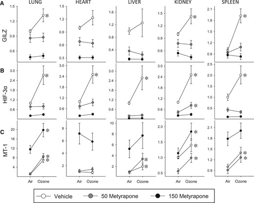 Tissue-level effects of ozone and metyrapone on the expression of inflammatory, metabolic, and antioxidant genes. The mRNA levels were assessed in tissues of animals exposed to air or 0.8 ppm ozone following administration of vehicle or metyrapone (Met; 50, 150 mg/kg). Values are expressed as mRNA fold-change relative to vehicle air control group ± SE (n = 5/group). Data were assessed for significant factor interactions or main effects by two-way ANOVA, followed by Holm-Sidak pairwise comparison. For simplicity, only significant Air versus Ozone pairwise comparisons are indicated (*P < .05). Complete statistical analyses are presented in Supplementary Data. A, Glucocorticoid-inducible leuzine zipper (GILZ). Lung: MET main effect, P < .001, OZONE main effect, P = .051. Heart: MET main effect, P < .001. Liver: MET main effect, P < .001. Kidney: MET × OZONE interaction, P = .020. Spleen: MET × OZONE interaction, P = .009. B, Hypoxia-inducible factor (HIF)-3α. Lung: MET × OZONE interaction, P < .001. Heart: MET main effect, P < .001, OZONE main effect, P < .001. Liver: MET main effect, P < .001, OZONE main effect, P = .016. Kidney: MET main effect, P < .001, OZONE main effect, P < .001. Spleen: MET × OZONE interaction, P = .01. C, Metallothionein (MT)-1. Lung: MET main effect, P < .001, OZONE main effect, P < .001. Heart: MET main effect, P < .001. Liver: MET main effect, P < .001, OZONE main effect, P < .001. Kidney: MET main effect, P < .001, OZONE main effect, P < .001. Spleen: MET main effect, P < .001, OZONE main effect, P < .001.