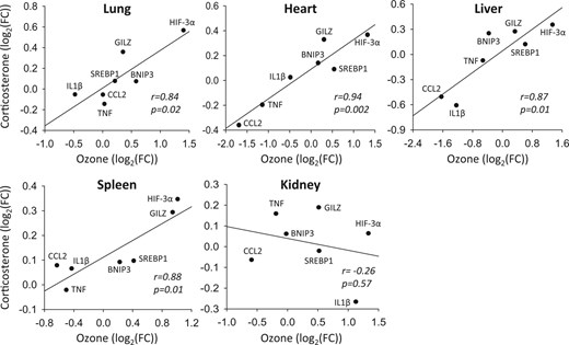 Comparison of transcriptional responses to ozone and exogenous corticosterone. The mRNA levels of immune response (glucocorticoid-inducible leucine zipper (GILZ), chemokine (C-C motif) ligand 2 (CCL2), interleukin (IL)-1β, tumor necrosis factor (TNF)) and metabolic (hypoxia inducible factor (HIF)-3α, BCL2/adenovirus E1B 19 kDa-interacting protein (BNIP)-3; sterol regulatory element-binding protein (SREBP)-1) genes were assessed in the lung, heart, liver, kidney, and spleen of rats administered vehicle and exposed to 0.8 ppm ozone or administered corticosterone (10 mg/kg body weight) and exposed to air (n = 5/group). A log2 transformation was used to linearize data. Results were regressed and compared using Pearson correlations. FC, fold-change relative to vehicle air group.