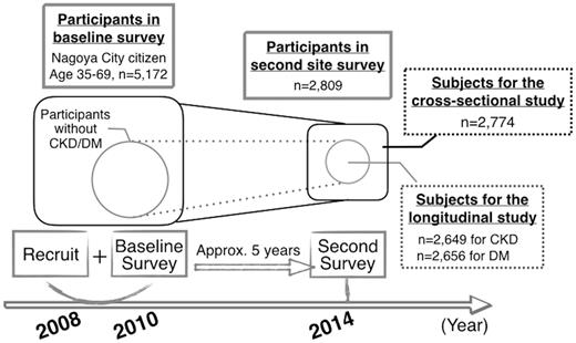 Study design of J-MICC Daiko Study and subjects for the present cross-sectional and longitudinal studies. CKD, chronic kidney disease; DM, diabetes mellitus; J-MICC, Japan Multi-Institutional Collaborative Cohort.