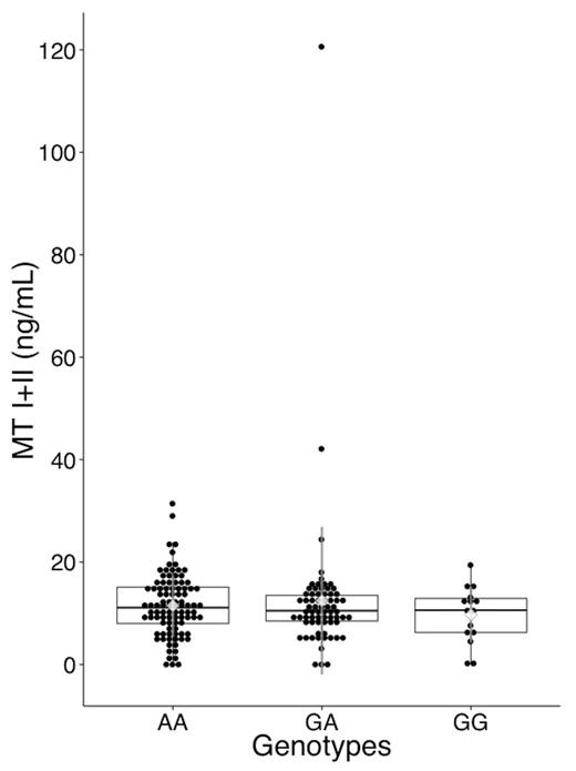 Serum MT I + II level by MT2A A-5G genotype. Serum MT (I+II) level was measured with a competitive ELISA. MT levels are plotted around the median as box plots, where the dots represent individual data. Diamonds and the whiskers represents the mean and SD of MT levels. Whiskers of the box plots extend to 1.5× interquartile range, where the values exceeding or falling below this level are marked as outliers. The overall median was 10.9 ng/ml, and mean ± SD was 11.7 ± 10.1 ng/ml. The numbers of samples was 95, 69, and 15 for AA, GA, and GG genotypes, respectively. There was no significant difference in serum MT levels among the genotypes (analysis of variance: P = .61).