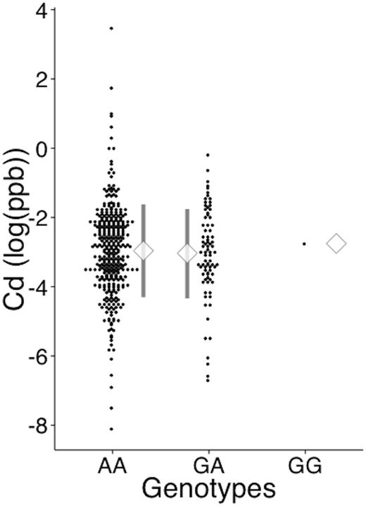 Serum cadmium level by MT2A A-5G genotype. Serum Cd level was measured by inductively coupled plasma mass spectrometry. The dots represent individual data of log-transformed Cd levels. The diamond symbol represents the mean, and the whiskers represent SD. The numbers of samples with a value >0 were 340, 81, and 1 for the AA, GA, and GG genotypes, respectively. The number of samples yielding 0 values were 1561, 640, and 14 for the AA, GA, and GG genotypes, respectively. The proportion of samples with values >0 did not differ between genotypes (Fisher’s exact test, P = .309).