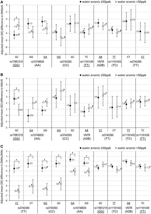 Associations between AS3MT variants and urinary arsenic profiles among subjects with higher versus lower water arsenic (As). †P < .10 ‡P < .05 for differences in urinary As profiles associated with having non-referent AS3MT variants genotypes compared with referent genotypes, where referent genotypes were defined as those associated with a higher DMAs% in previous studies. Wild type genotypes, defined based on global genotype frequency reports from the National Center for Biotechnology Information, were underlined. *Indicates interaction (P < .10) for variant X categorical water iAs (>50 vs ≤ 50 ppb). Results come from multiple linear regression models adjusted for age and gender.