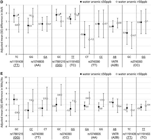 Associations between AS3MT variants and urinary arsenic profiles among subjects with higher versus lower water arsenic (As). †P < .10 ‡P < .05 for differences in urinary As profiles associated with having non-referent AS3MT variants genotypes compared with referent genotypes, where referent genotypes were defined as those associated with a higher DMAs% in previous studies. Wild type genotypes, defined based on global genotype frequency reports from the National Center for Biotechnology Information, were underlined. *Indicates interaction (P < .10) for variant X categorical water iAs (>50 vs ≤ 50 ppb). Results come from multiple linear regression models adjusted for age and gender.