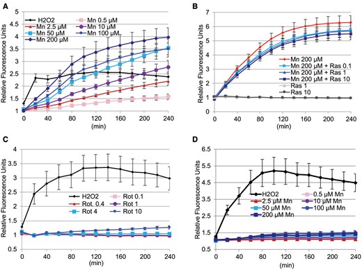 Manganese, but not rotenone leads to immediate RONS production as measured by the DCF assay, inhibition by rasagiline. A, Manganese causes a concentration and time dependent increase in cellular RONS as measured by the DCF assay in DA neurons differentiated from 4 different hiPSC lines from 4 different control subjects. Finteraction (72, 728) = 3.278; Ftime (12, 728) = 63.71; FMn conc. (6, 728) = 123.2); P < .0001; mean and SEM are shown, n = 9. B, Rasagiline significantly inhibits manganese-induced RONS formation F (5, 858) = 494.3 (P < .001) in DA neurons differentiated from 5 different hiPSC lines from 4 different control subjects. The degree of inhibition was not significantly different for the 3 concentrations of rasagiline tested. Mean and SEM are shown, n = 12. C, Rotenone does not cause a significant formation of cellular RONS over time F (12, 455) = 1.579 (P = .0943) in DA neurons differentiated from 3 different hiPSC lines from 3 different control subjects. Bonferroni multiple comparisons test indicated no significant difference in RONS formation among any of the treatment conditions (except for H2O2). Mean and SEM are shown, n = 6. D, Manganese does not increase cellular RONS in hiPSCs. A 2-way ANOVA analysis of this data indicated a time-dependent F (12, 1365) = 5.959 and treatment-dependent F (6, 1365) = 300.7 significant increase in RONS formation by H2O2. Bonferroni multiple comparisons test indicated no significant difference in RONS formation in control cells and cells treated with different manganese concentrations. Mean and SEM are shown, n = 16.