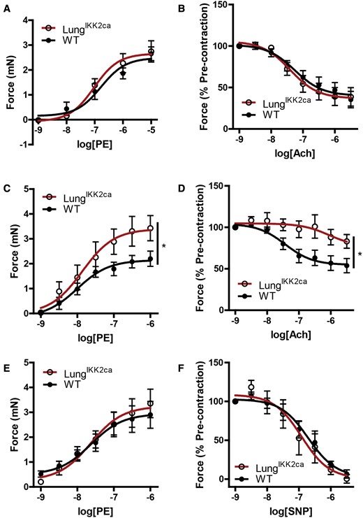 Lung-specific overexpression of IKK2ca induces endothelial dysfunction. A, B, Thoracic aorta were harvested from normal diet-fed WT and LungIKK2ca mice (10–18-weeks old, n = 5/group). A, Their contractile responses to PE. B, They were precontracted by PE (1 µM) and then relaxed by Ach. C–F, WT and LungIKK2ca mice were fed with doxycycline diet for 3 months. C, Aortic contractile response to PE. D, Aortic rings were precontracted by PE (1 µM) and then relaxed by Ach. E, Aortic contractile response to PE in the presence of NOS inhibitor L-NAME. F, Aortic rings were precontracted by PE and then relaxed by NO donor, SNP (n = 6 or 8). *p < .05 versus WT, 2-way ANOVA.